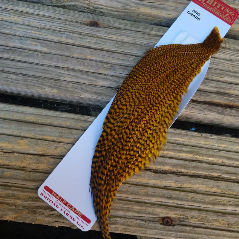 Whiting 1/2 Pro-Grade Dry Fly Rooster Cape in Grizzly Dyed March Brown-2